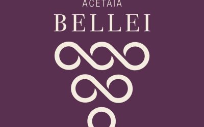 Επιχειρηματικές συναντήσεις με την ιταλική εταιρία ACETAIA BELLEI – ΤΕΤΑΡΤΗ 17 ΑΠΡΙΛΙΟΥ